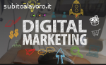 Venditore digital marketing – TCM213